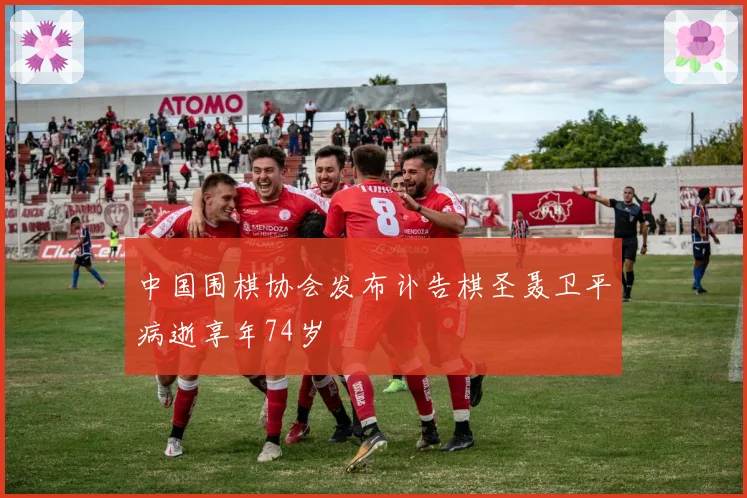 中国围棋协会发布讣告棋圣聂卫平病逝享年74岁